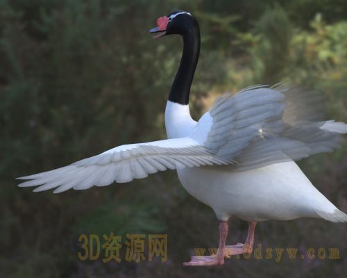 /Uploads/Images/2026-05-11/3dzyw_works_6a01a88d6d8df.jpg