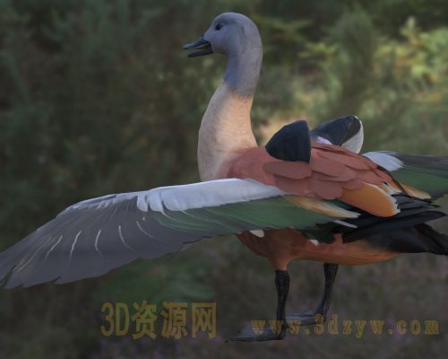/Uploads/Images/2026-05-11/3dzyw_works_6a01b51433dae.jpg